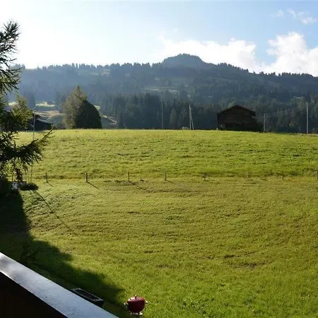 Schonried Sleeps 8 Wifi Gstaad