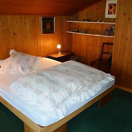 Schonried Sleeps 8 Wifi